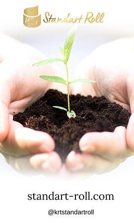 KRT Standart Roll